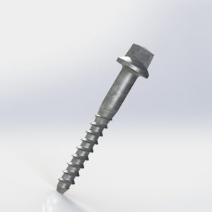 Coach Screw